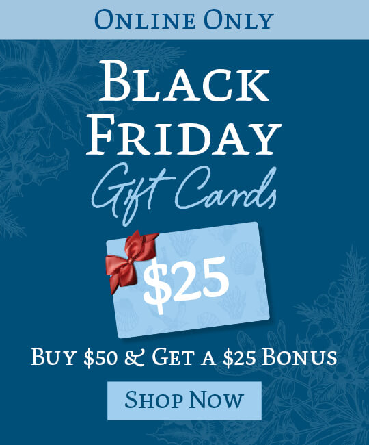 BB_Black_Friday_Gift_Card_Web_Pop_Up_1125